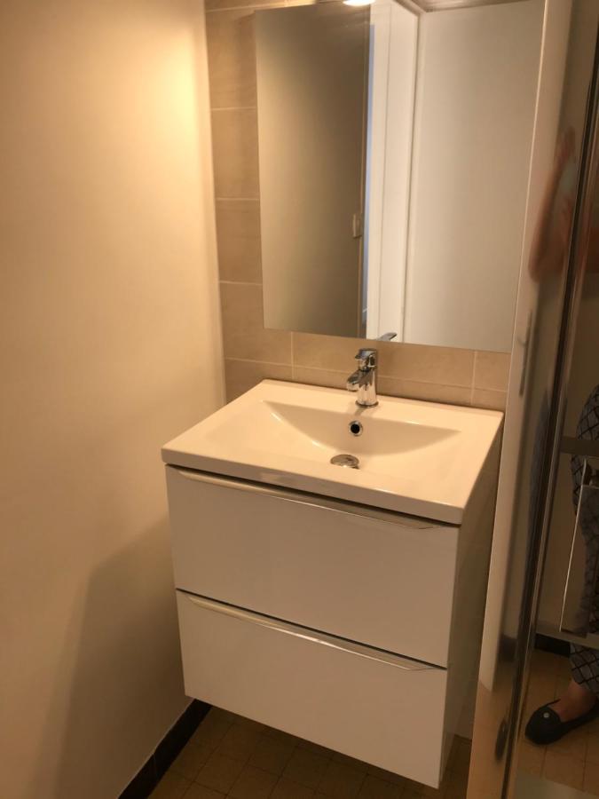 Grenoble Joli Appartement Екстер'єр фото